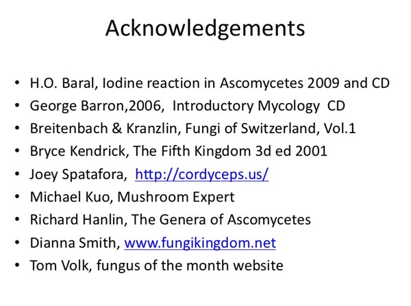 Slide128