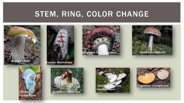 Slide12