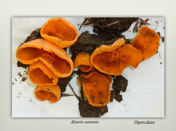Slide13