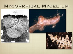 Slide13