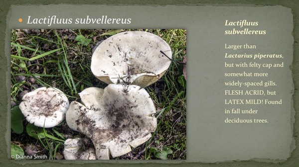 Slide13