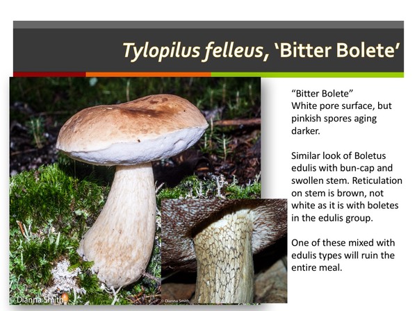 Slide130