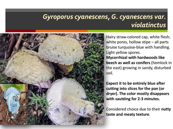 Slide132