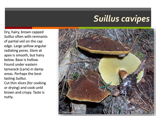 Slide134