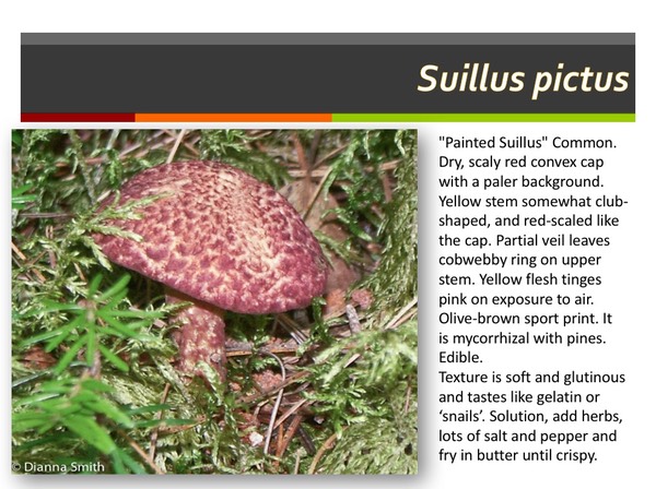 Slide135