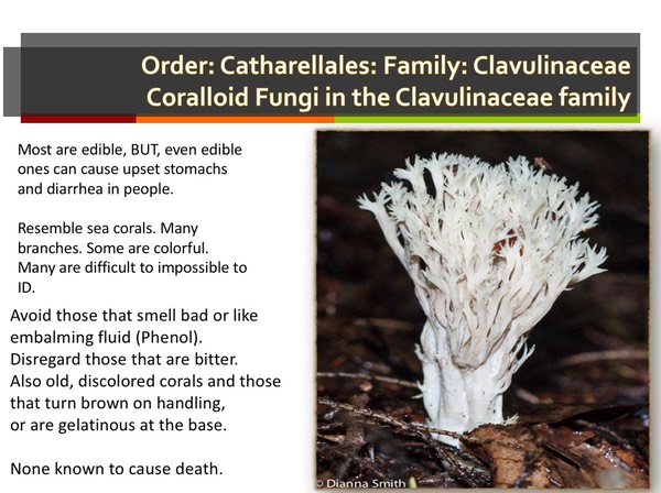 Slide138