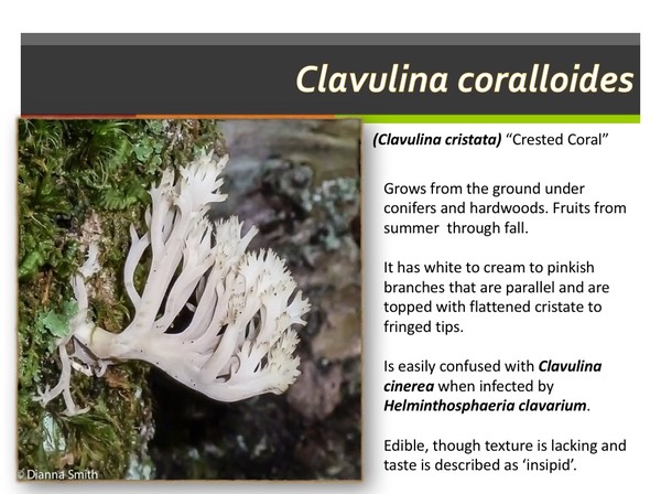 Slide139