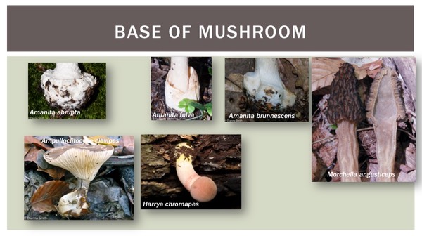 Slide13