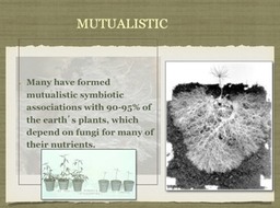 Slide14
