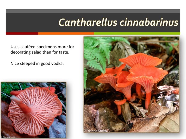 Slide143
