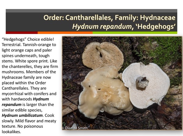 Slide146