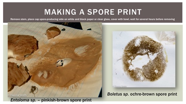 Slide14