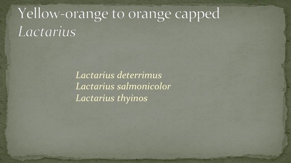 Slide15