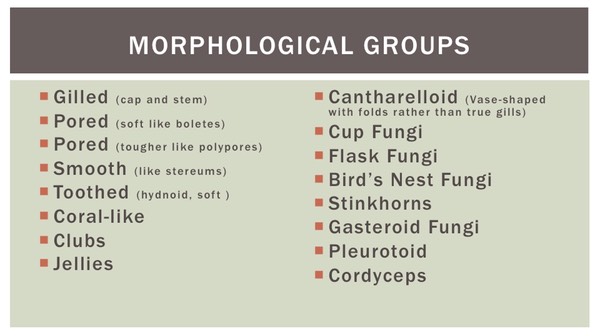 Slide15