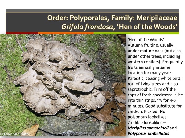 Slide155