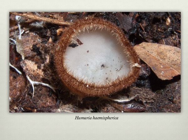 Slide16