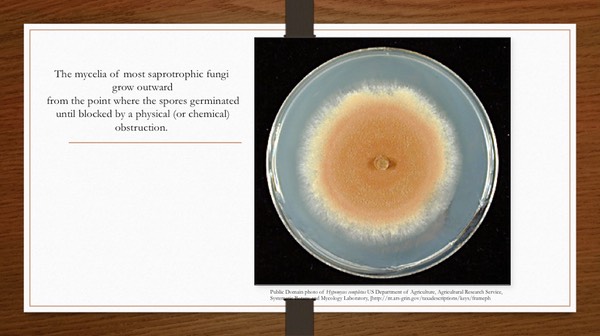 Slide16