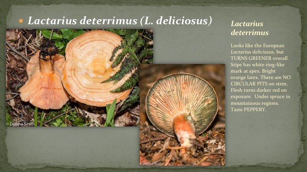 Slide16