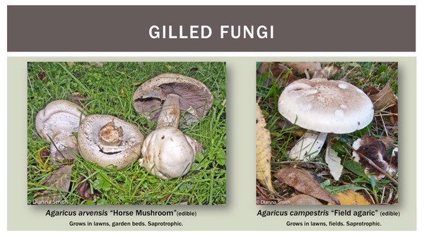 Slide16