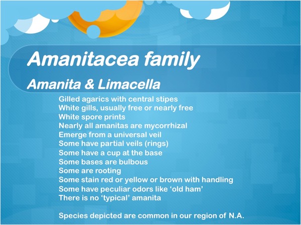 Slide17