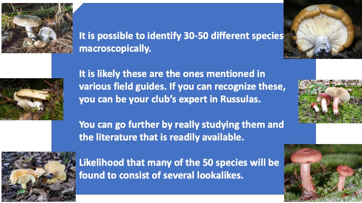 Slide17