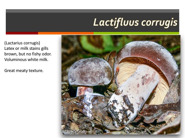 Slide171