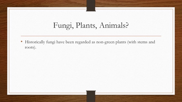Slide18
