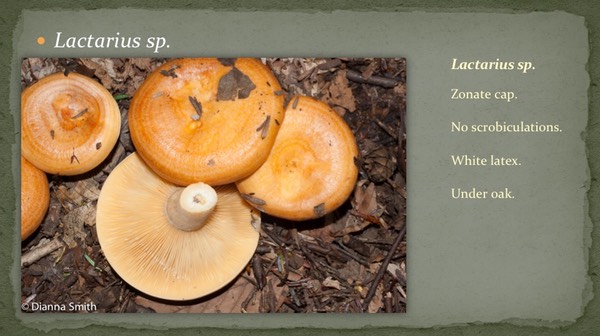 Slide18