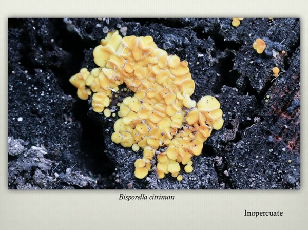 Slide19