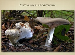 Slide19
