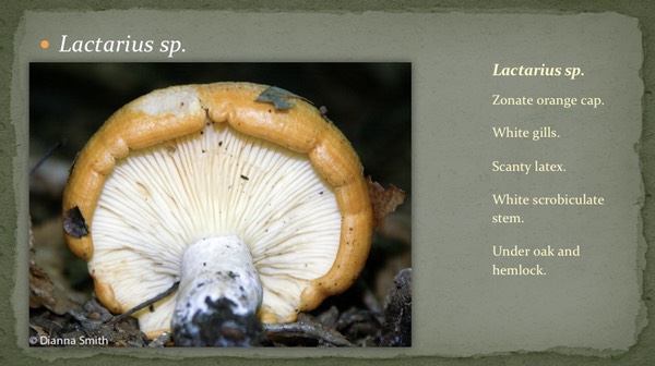 Slide19