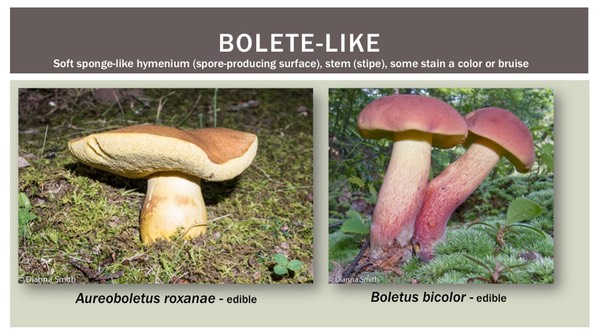 Slide19