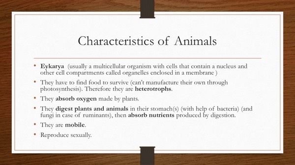 Slide20