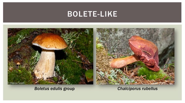 Slide20