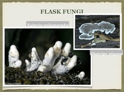 Slide21