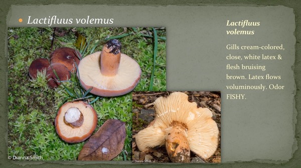 Slide21