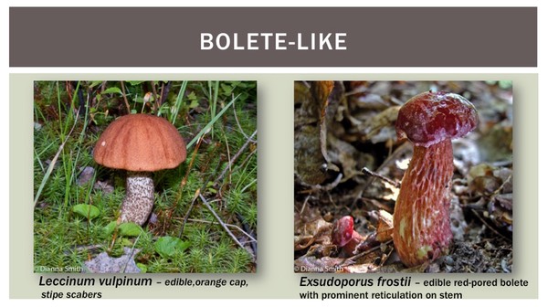 Slide21