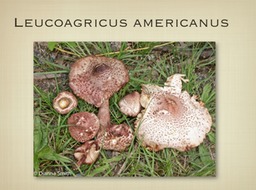 Slide22