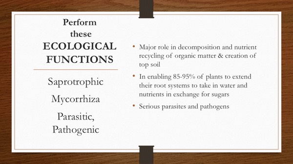 Slide22