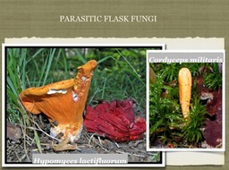 Slide22
