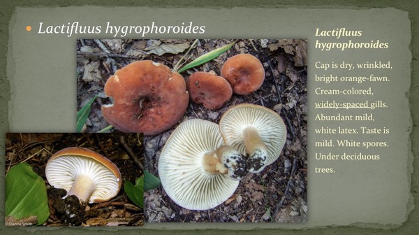 Slide22