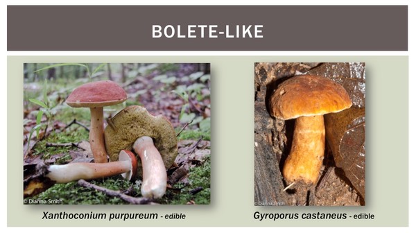 Slide22