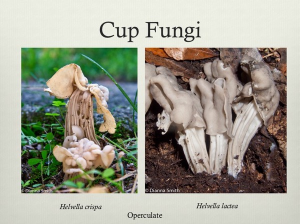 Slide23