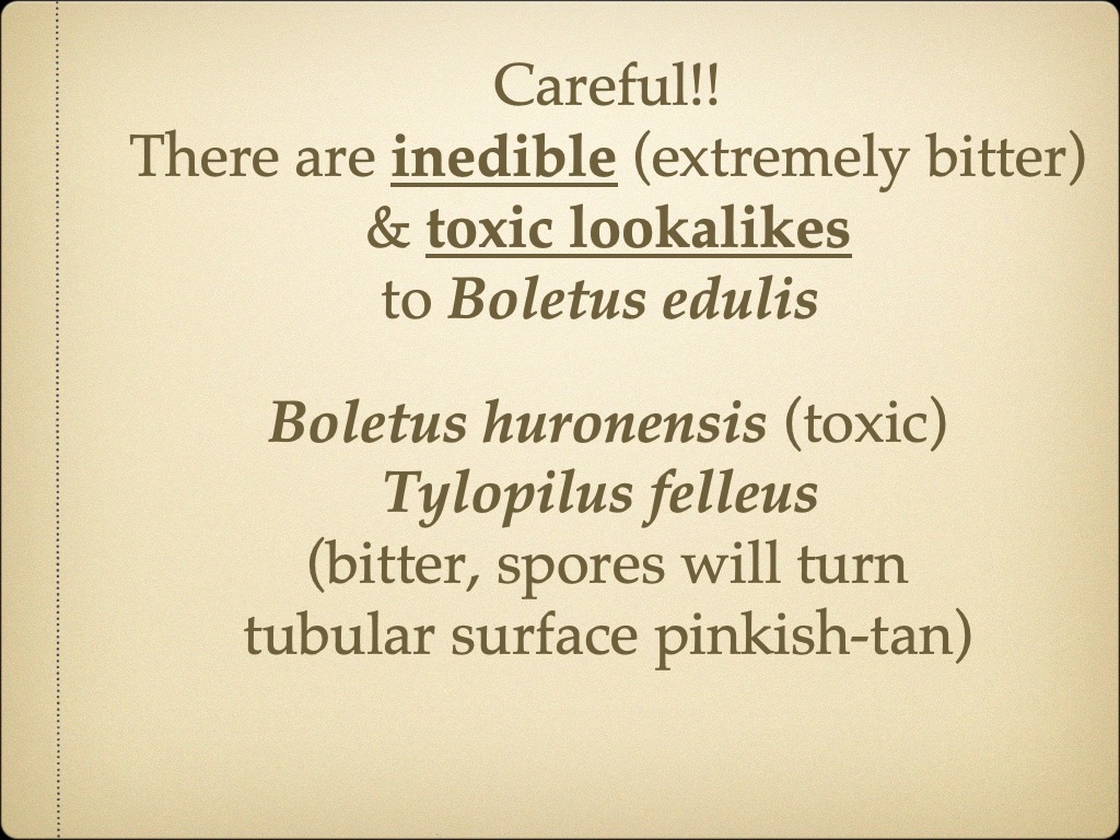 Slide23