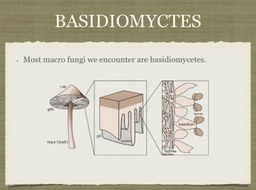 Slide23