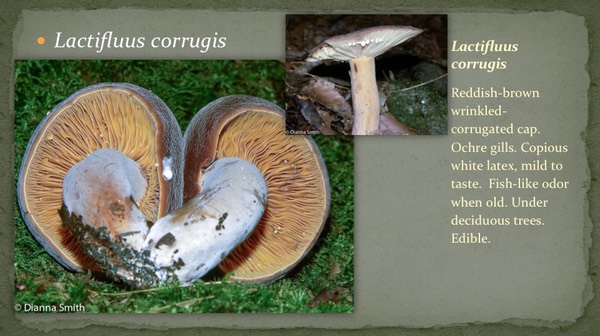 Slide23