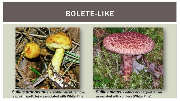 Slide23