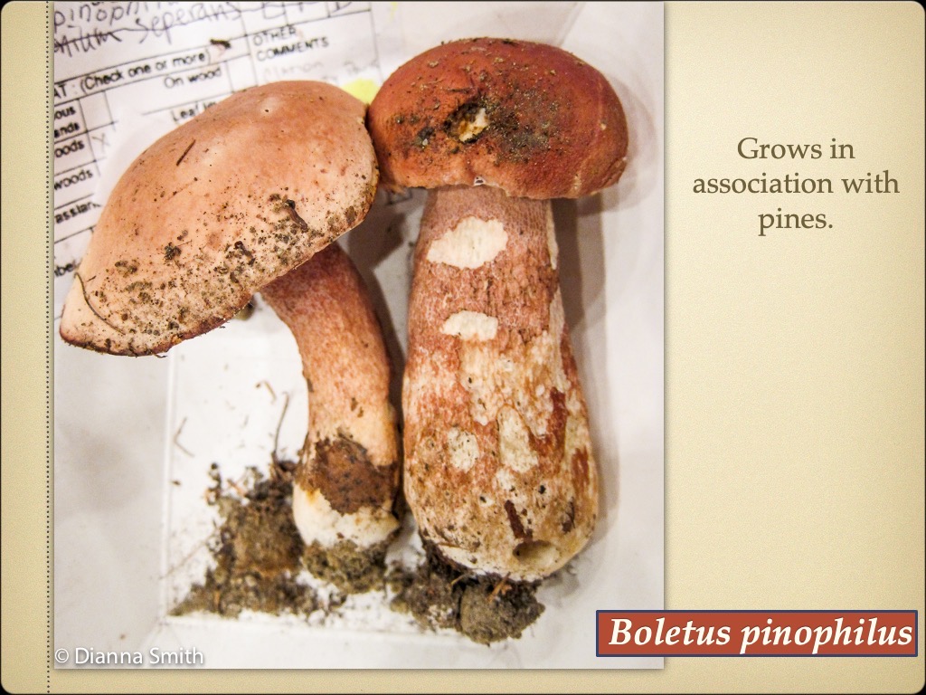 Slide24