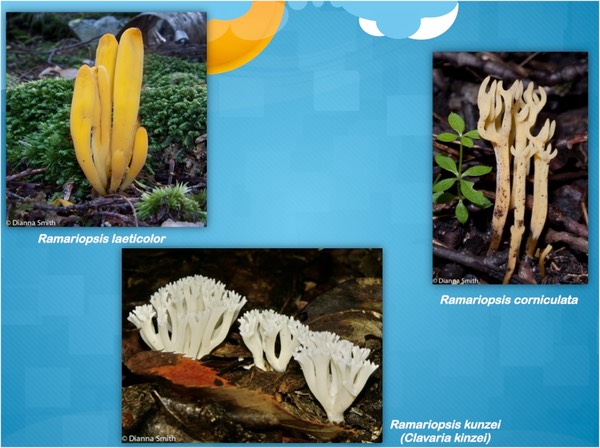 Slide24