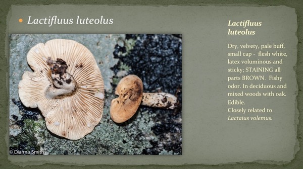 Slide24
